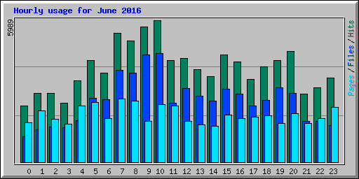 Hourly usage for June 2016