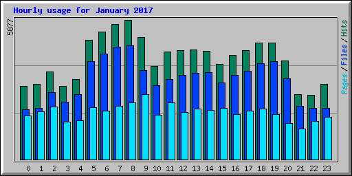 Hourly usage for January 2017