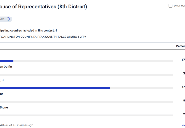 District8USHouseRepresentativeVirginia2026AugustDemocraticPrimary
